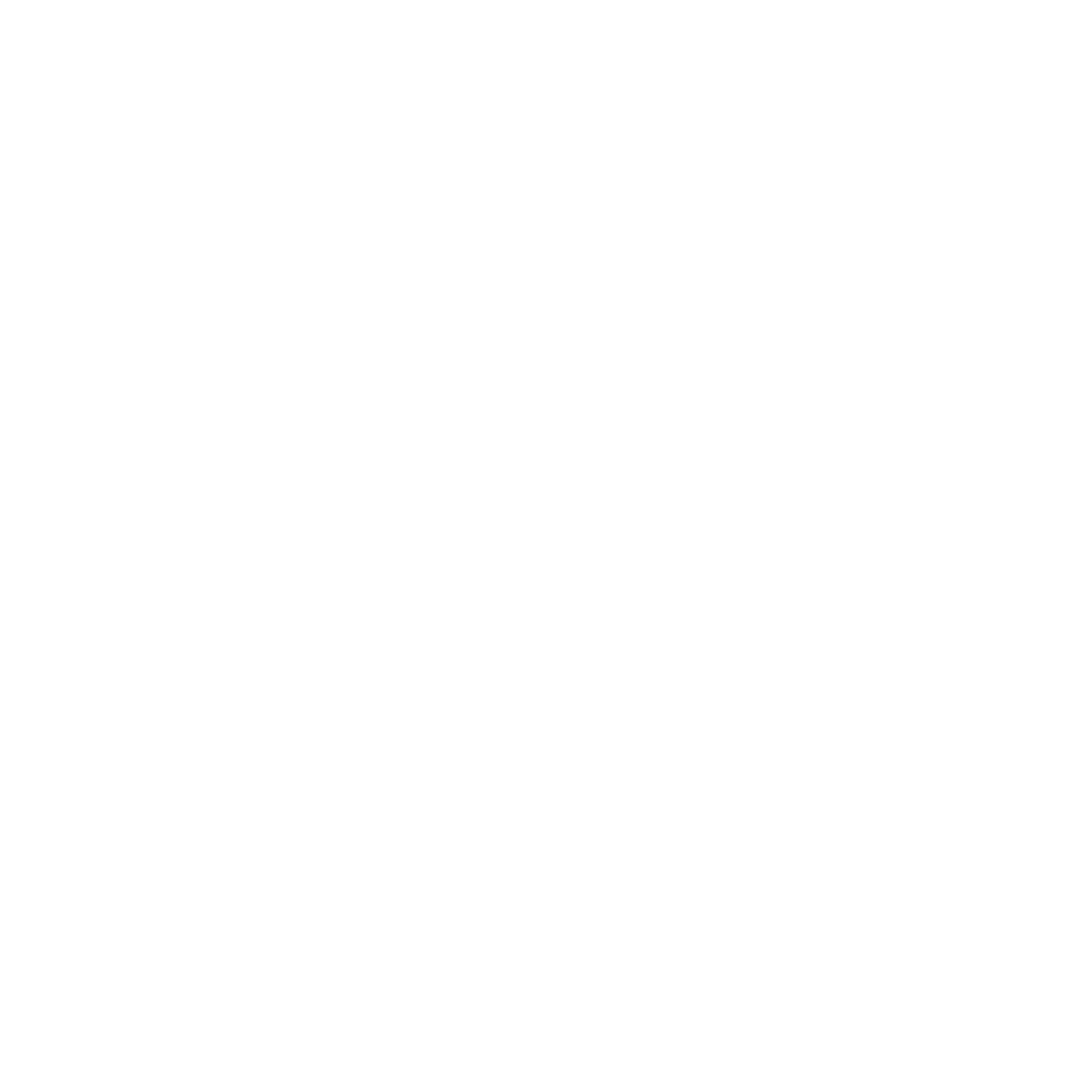 Un soir chez Boris