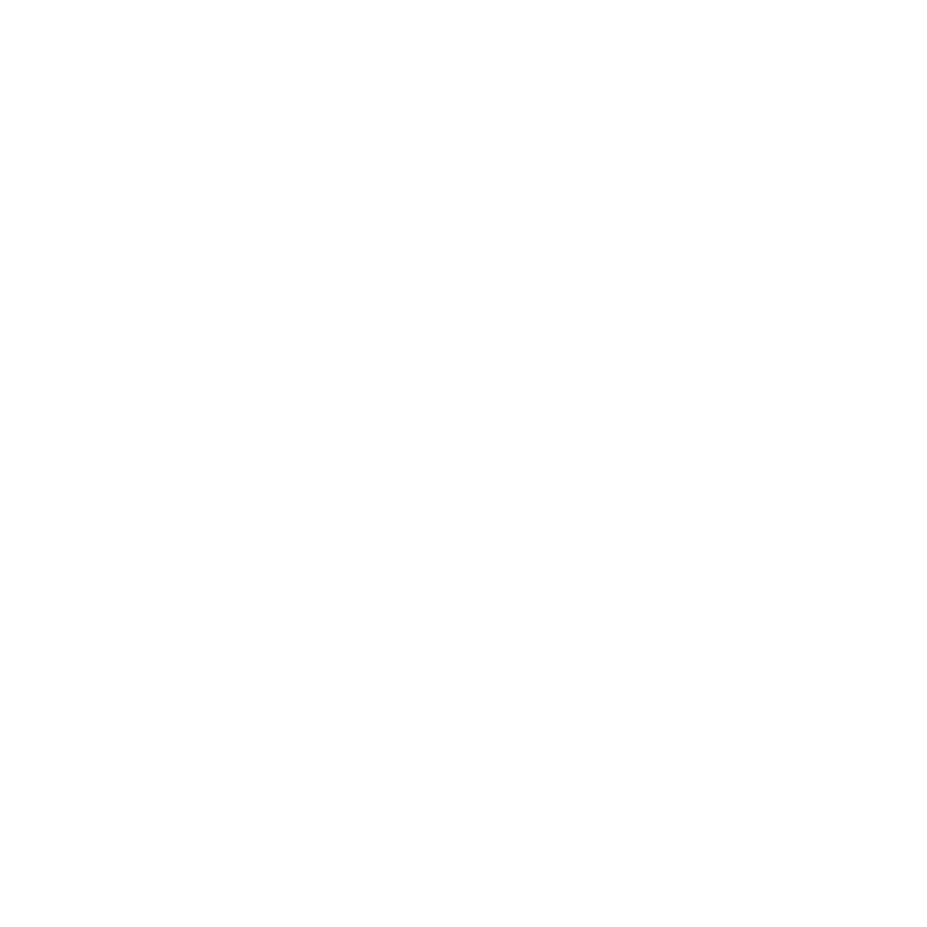 Les Amazones d'Afrique