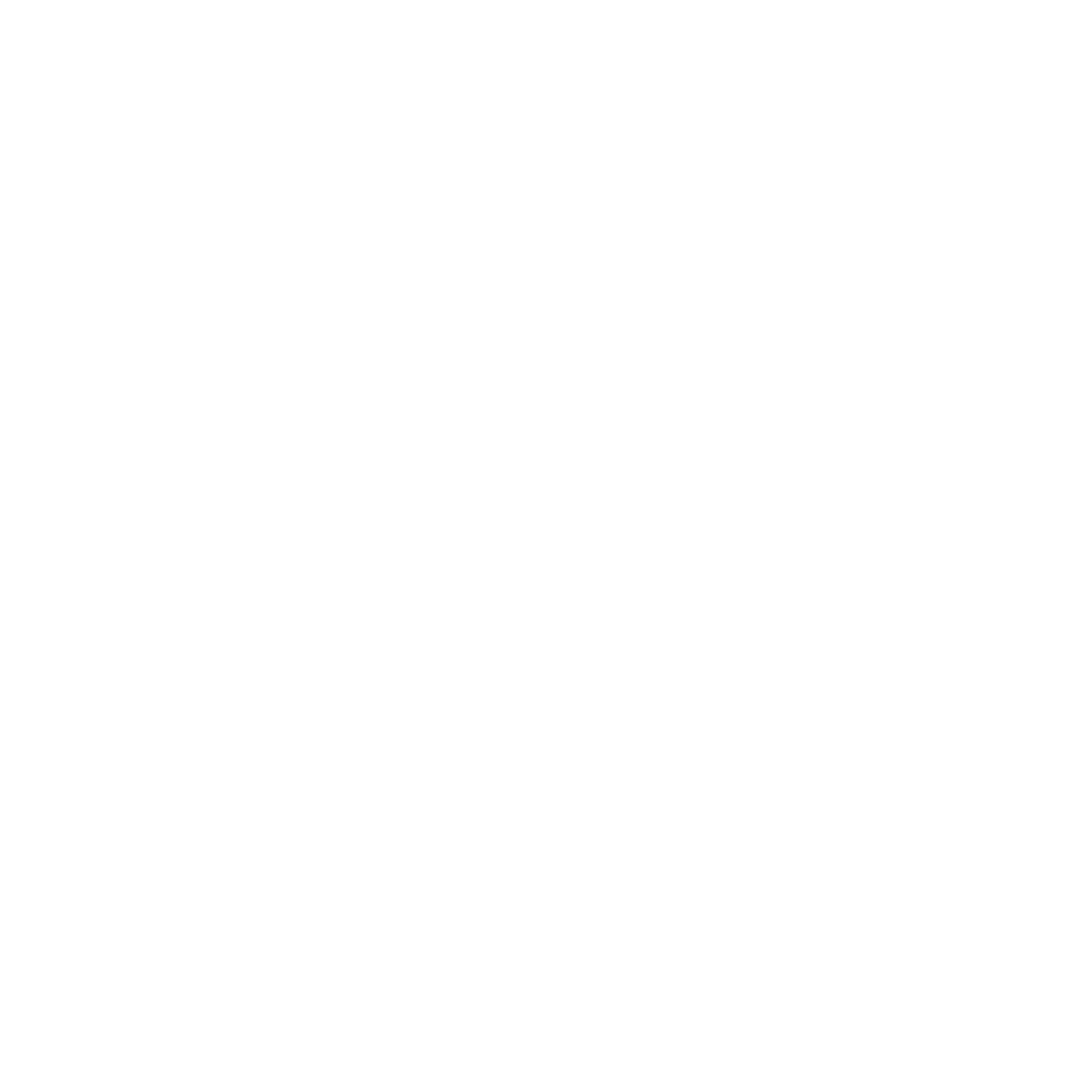Roue Giratoire